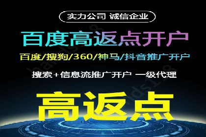 百度竞价代理操作手册：成功案例分析